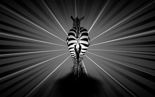 828760 (a): :2560x1600